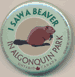 I Saw a Beaver See Saw Badge
