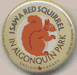 I Saw a Squirrel See Saw Badge