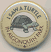 I Saw a Turtle See Saw Badge