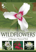 Wildflowers of Algonquin Provincial Park