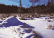 #21. Winter On An Algonquin Beaver Pond